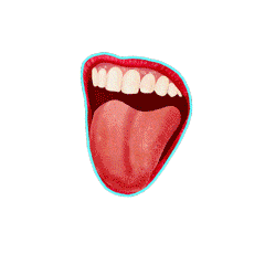 Mouth
